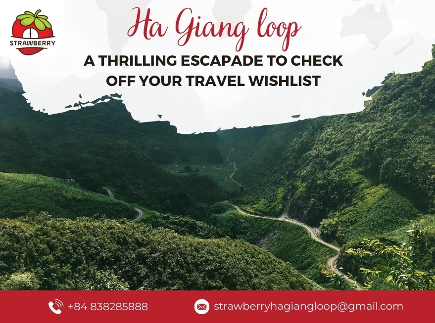 Ha Giang loop: A thrilling escapade to check off your travel wishlist