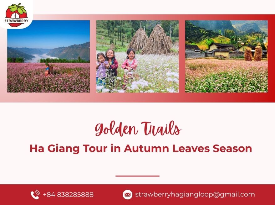 Ha Giang Tour in Autumn